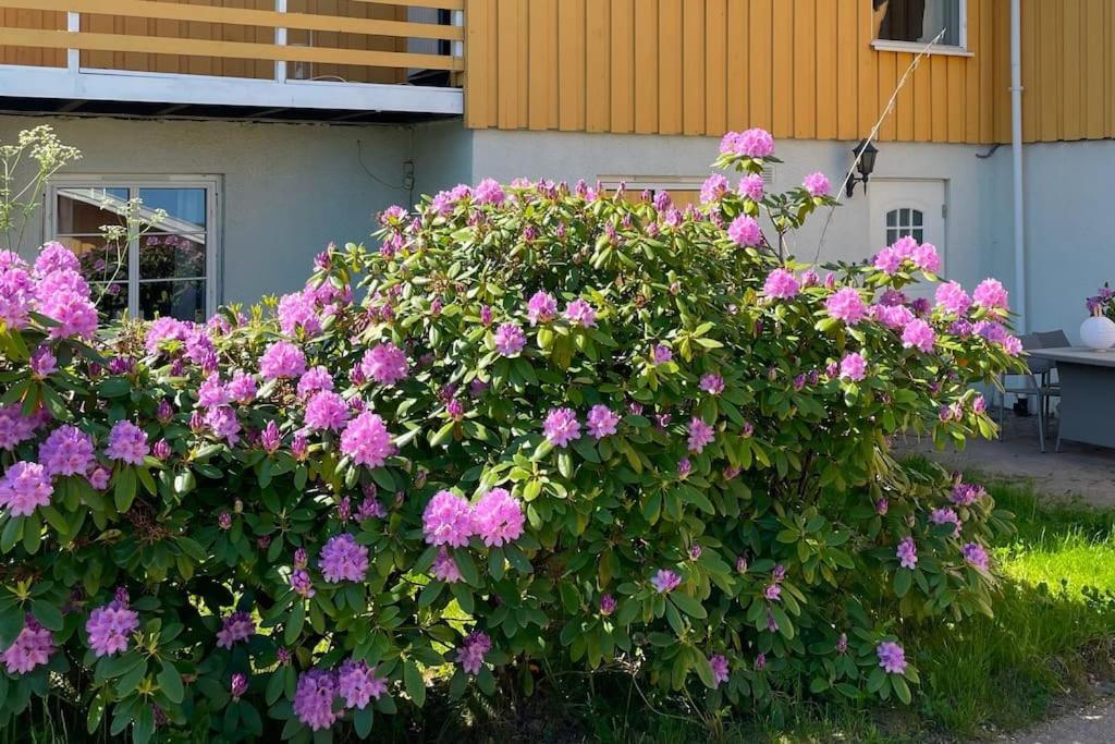 Cosy And Well-Equipped Apartment With Free Parking Τρόντχαϊμ Εξωτερικό φωτογραφία