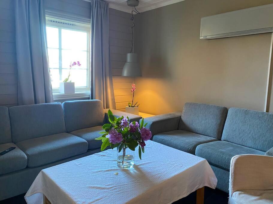 Cosy And Well-Equipped Apartment With Free Parking Τρόντχαϊμ Εξωτερικό φωτογραφία
