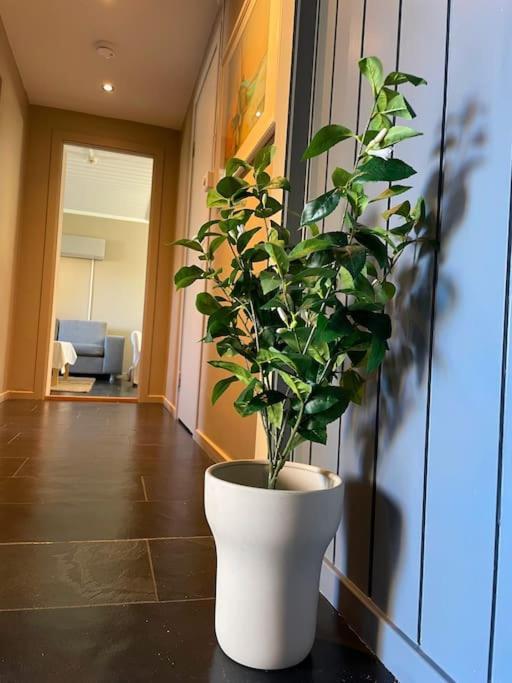Cosy And Well-Equipped Apartment With Free Parking Τρόντχαϊμ Εξωτερικό φωτογραφία